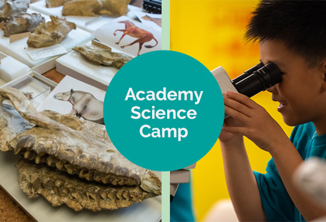 Two images, one image with fossils and images of the animals from the fossils and a child looking through a microscope. In the middle, there is a teal circle with text that says 'Academy Science Camp'.